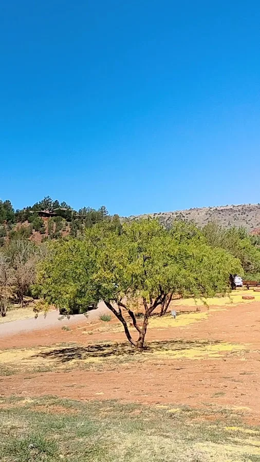 Camp Avalon Spiritual Nature Retreat