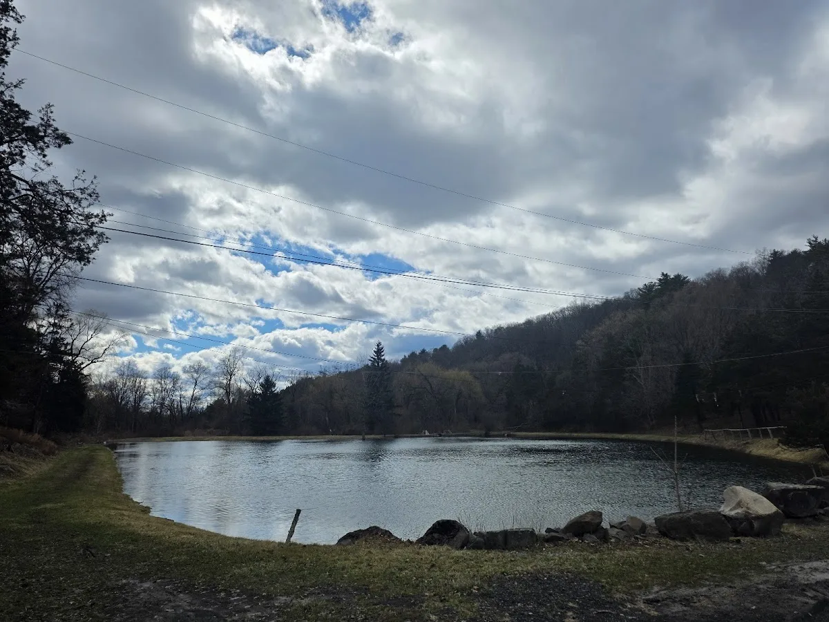 Camp Catskills RV Park