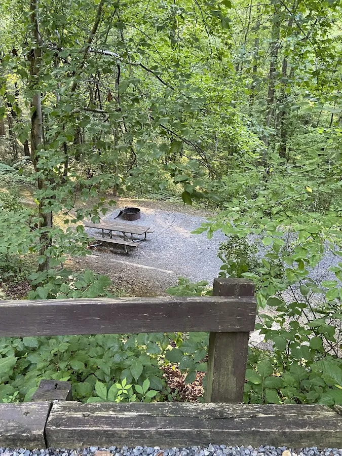 Camp Morganton Blue Ridge, Georgia