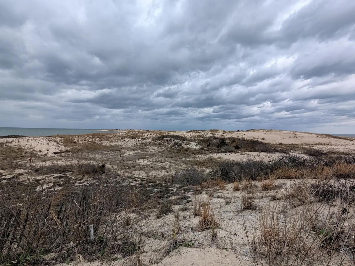 Cape Henlopen State Park