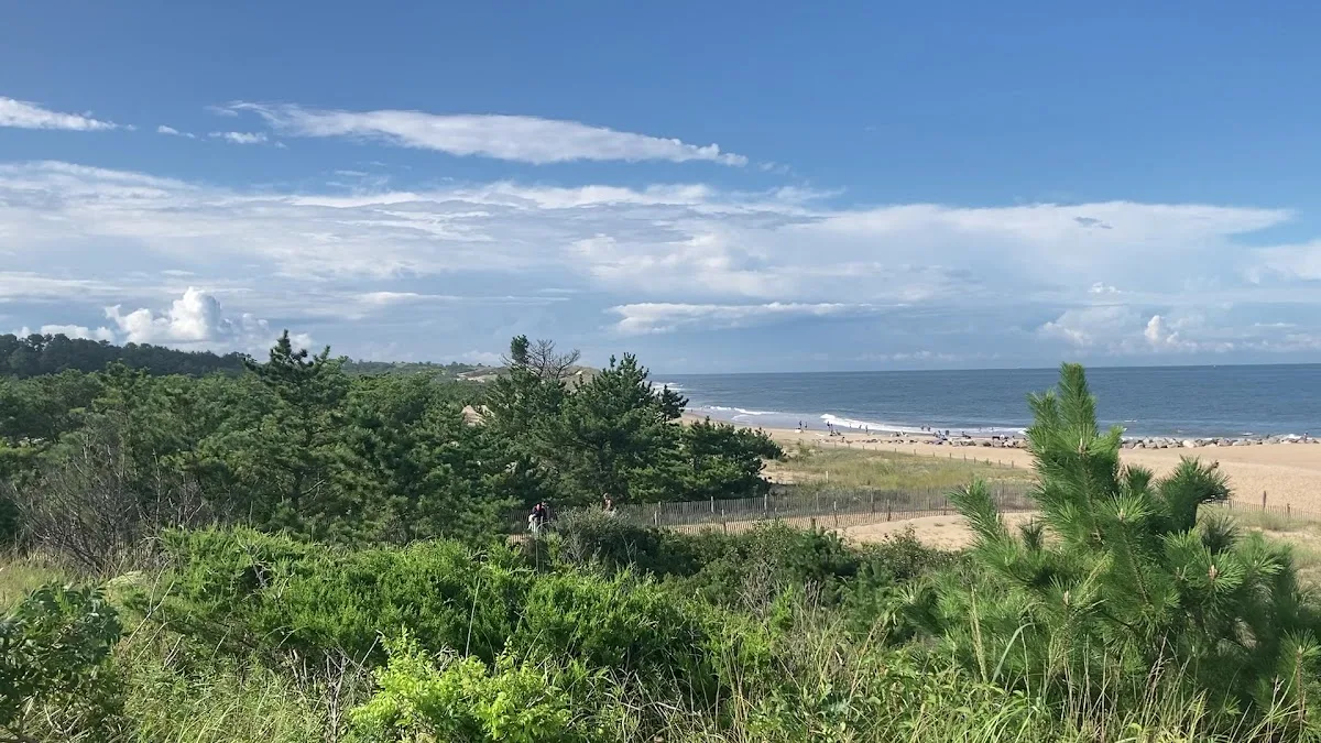 Cape Henlopen State Park