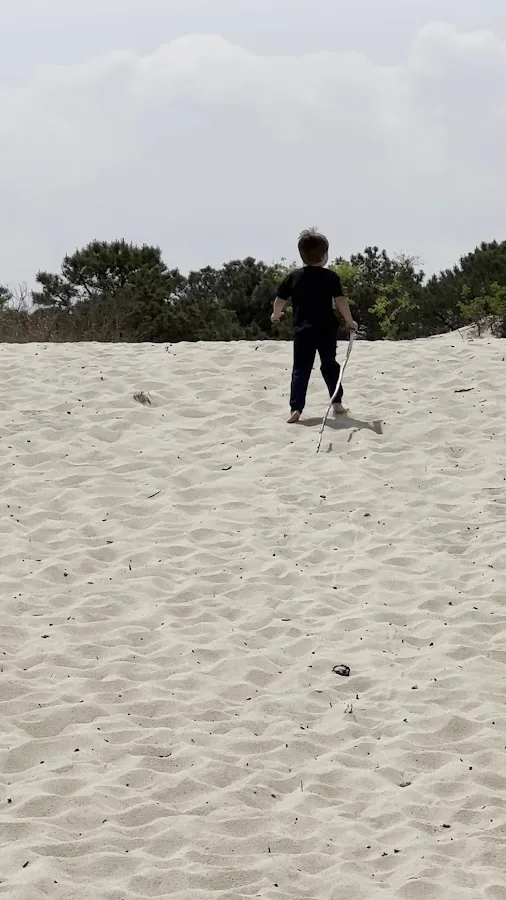 Cape Henlopen State Park Campground