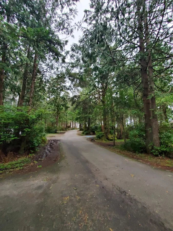 Cape Lookout State Park Campground