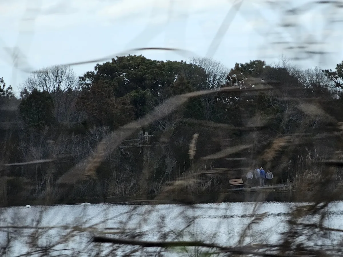 Cape May Point State Park