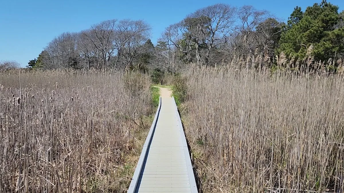 Cape May Point State Park