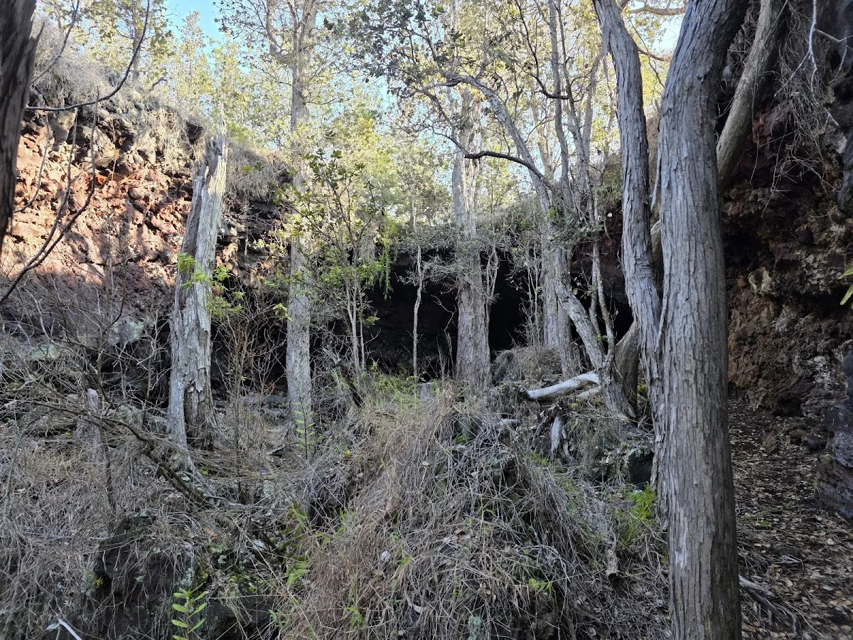 Captain Cooks lava tube campground/cabins