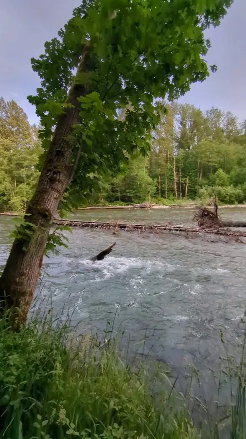 Cascade Wagon Road Campground