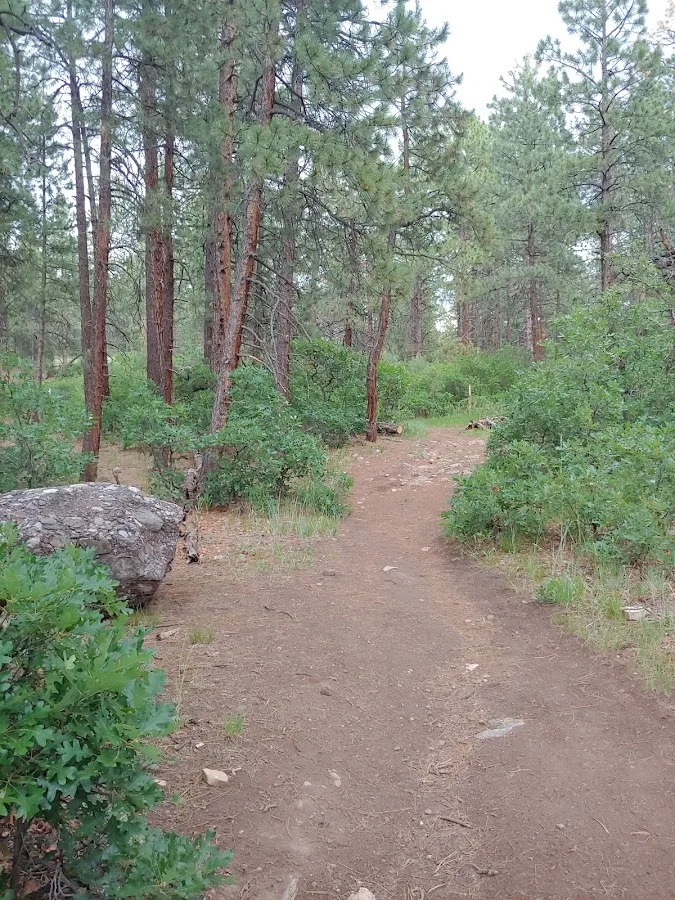 Chris Park Group Campground