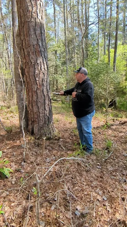 Clear Springs Campground