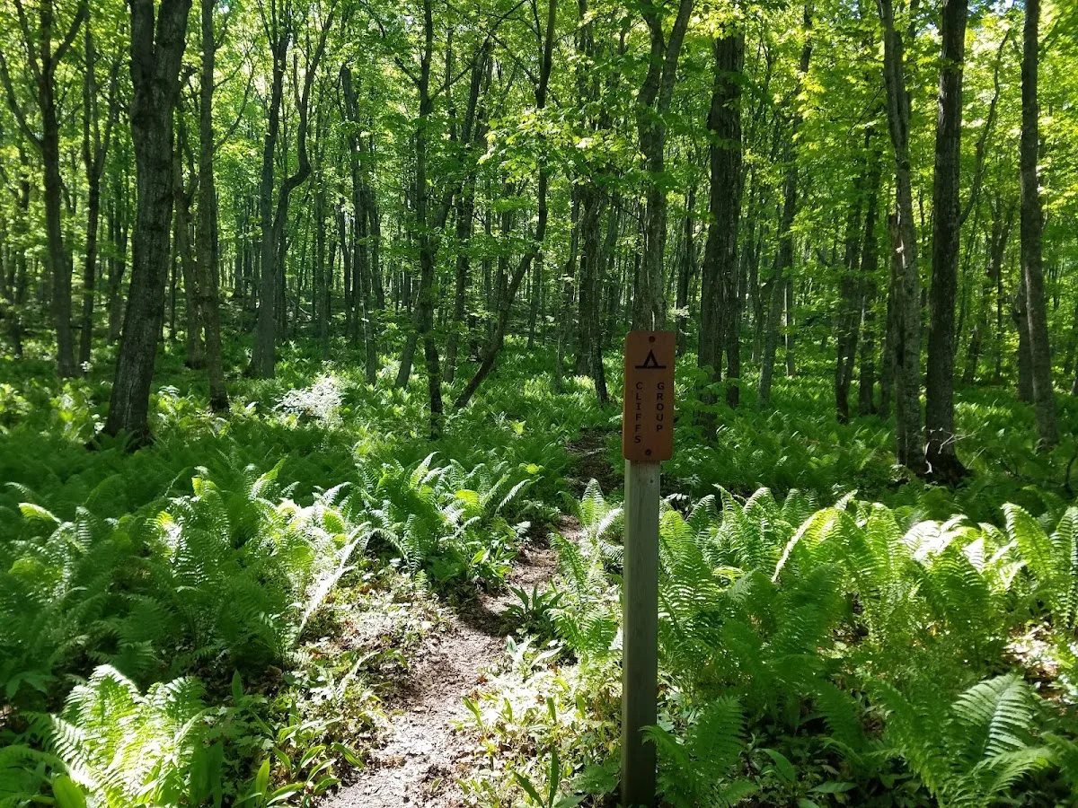 Cliffs Group Campsite