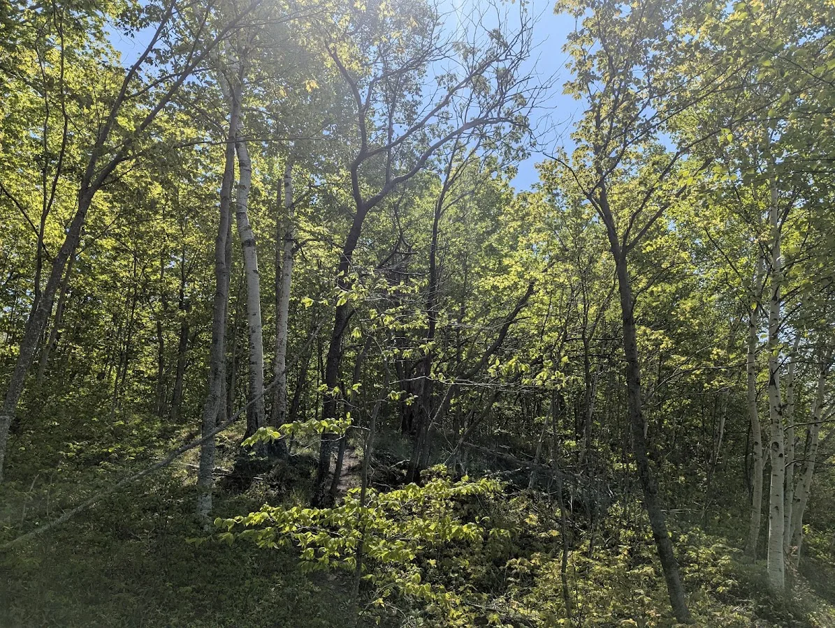 Cliffs Group Campsite