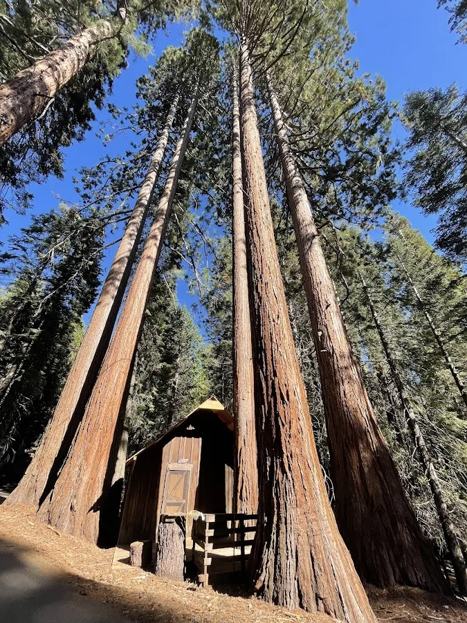 Cold Springs Campground