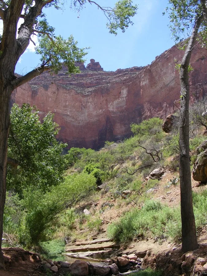 Cottonwood Creek Campsite