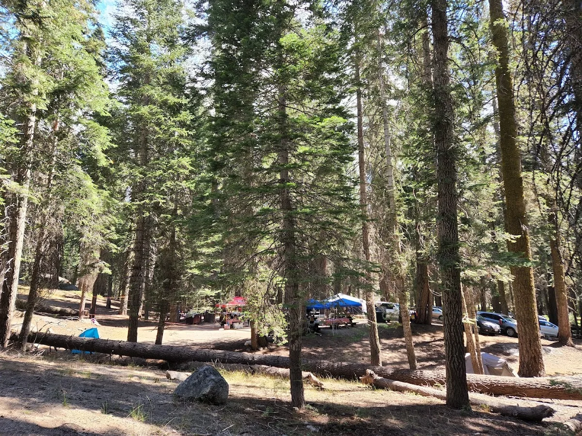 Cove Group Campground