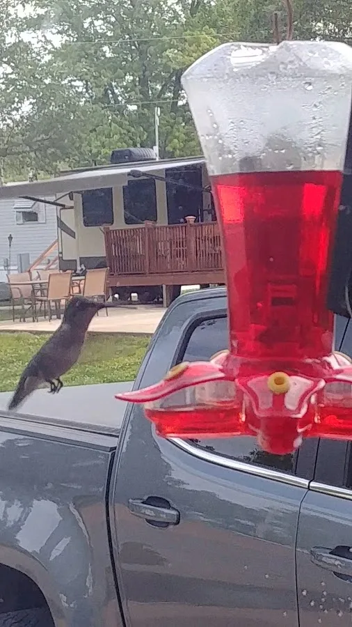 Covered Bridge RV Park & Storage