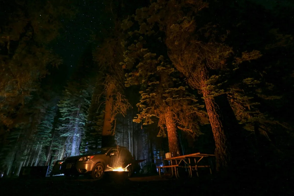 Crane Flat Campground