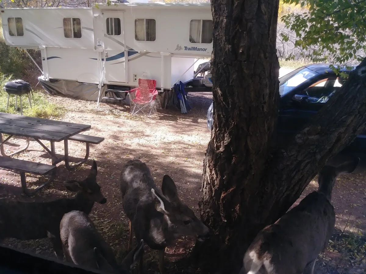 Crystal Kangaroo Campground