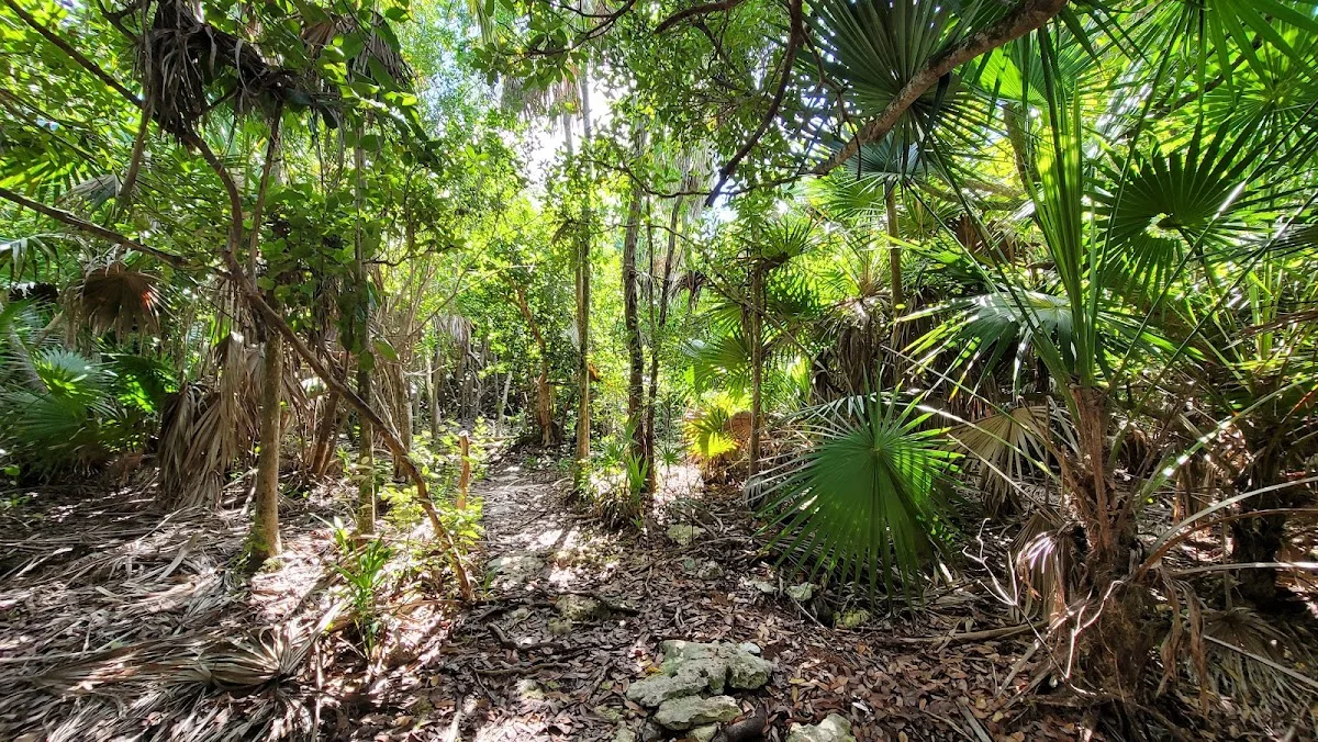 Curry Hammock State Park