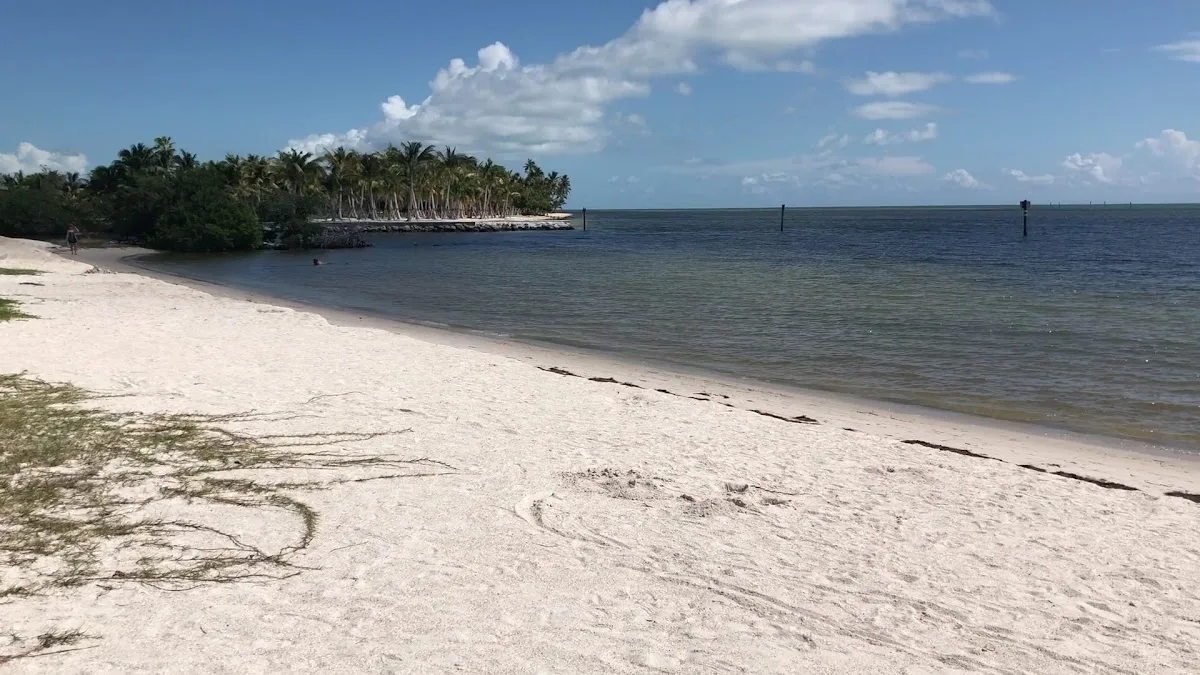 Curry Hammock State Park