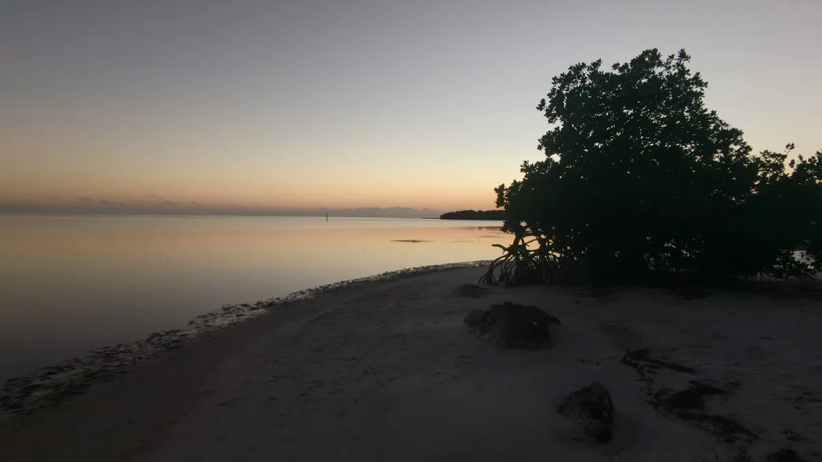 Curry Hammock State Park Campground