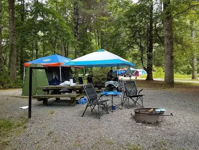 Davidson River Campground