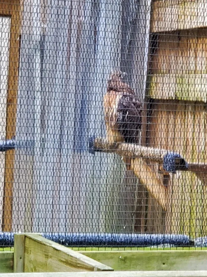 Deep Creek Lake Discovery Center