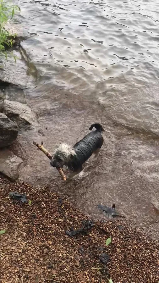 Deep Creek Lake State Park