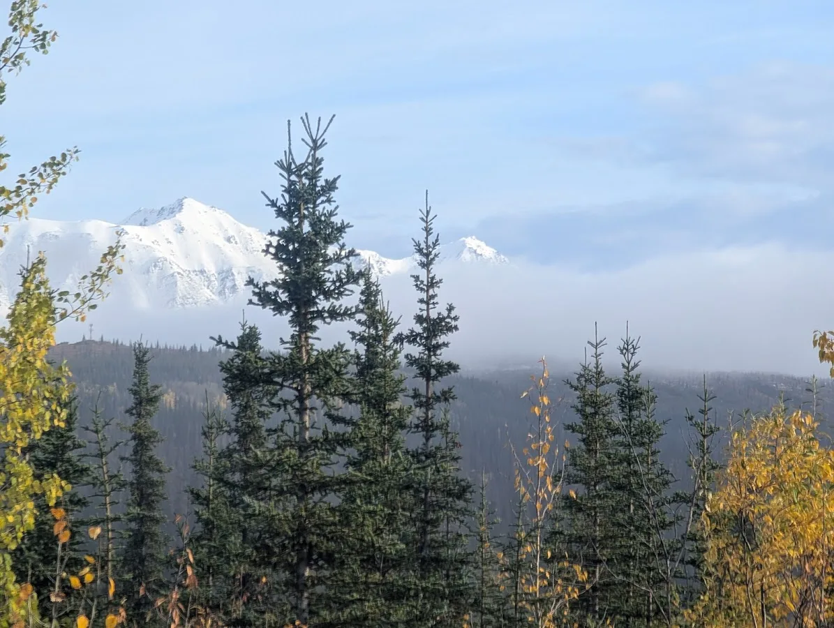 Denali View North