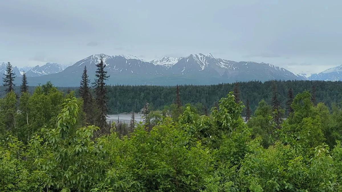 Denali View North