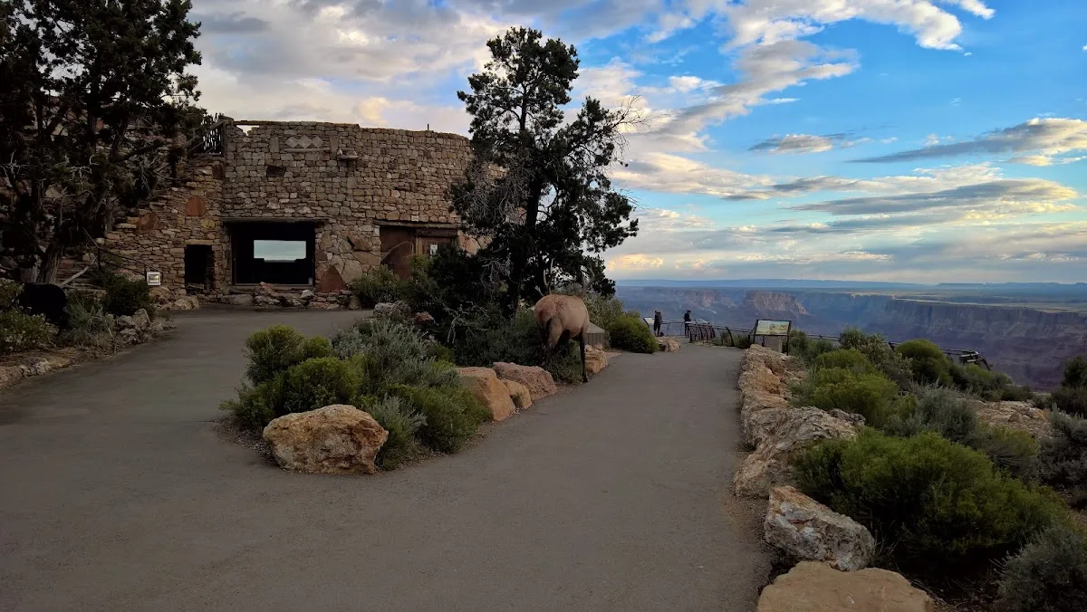 Desert View Campground