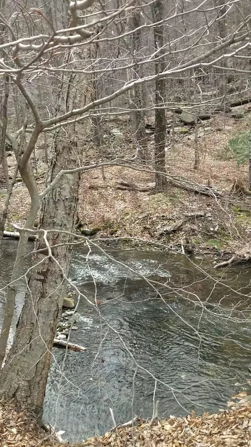 Devils Tombstone Campground