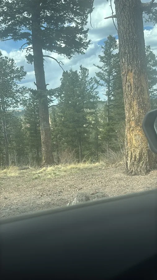 Dispersed Campground