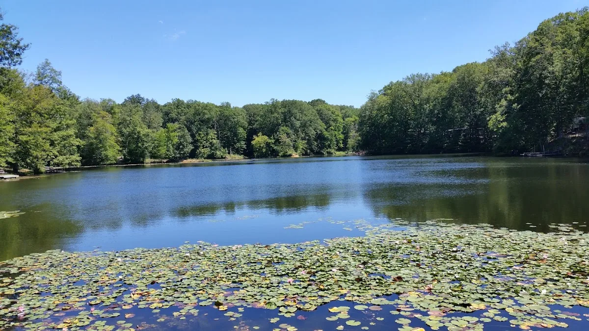 Dogwood Springs Campground