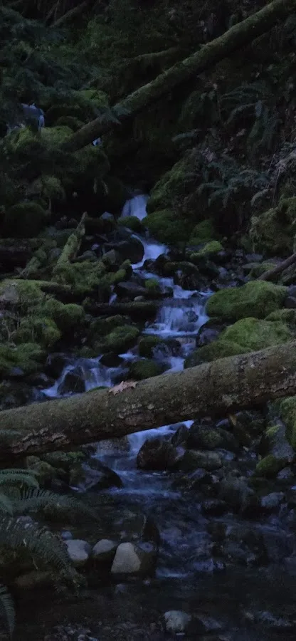 Dosewallips State Park