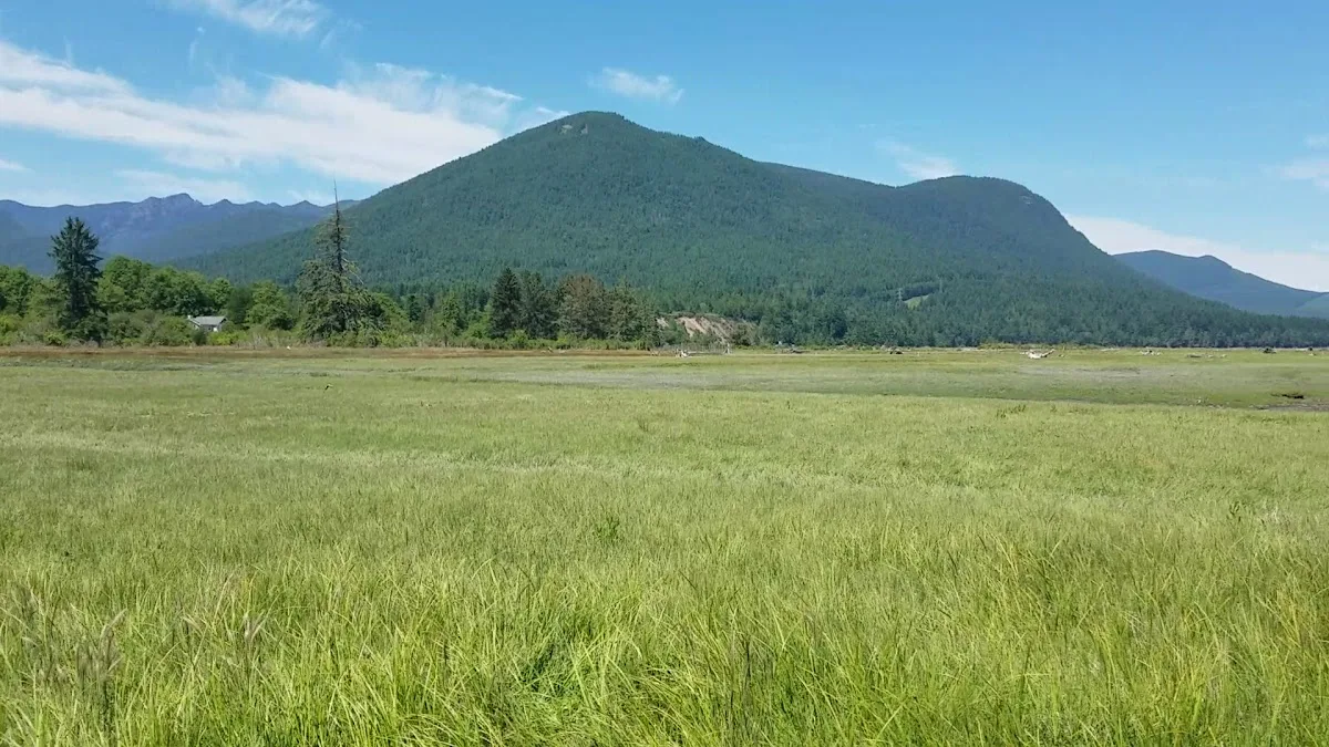 Dosewallips State Park