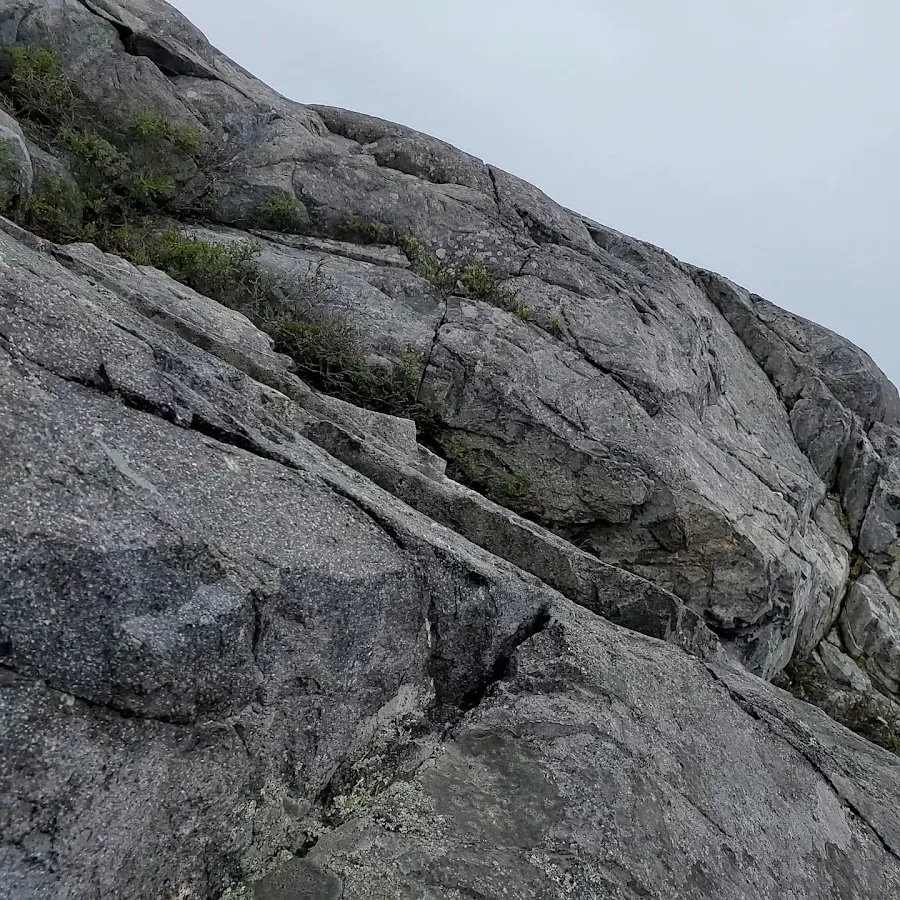 Duck Harbor Campground