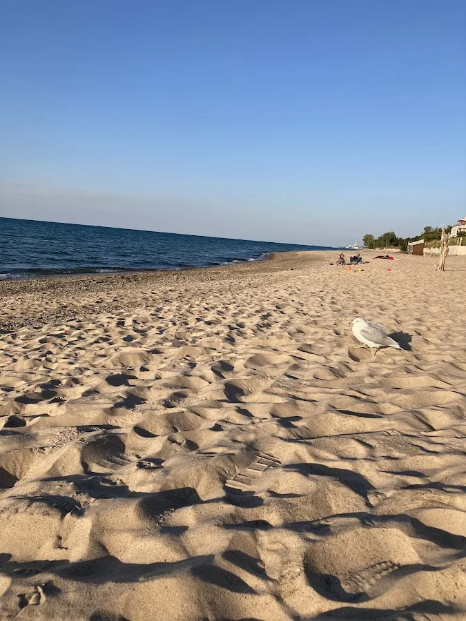 Dunbar Group Campsite