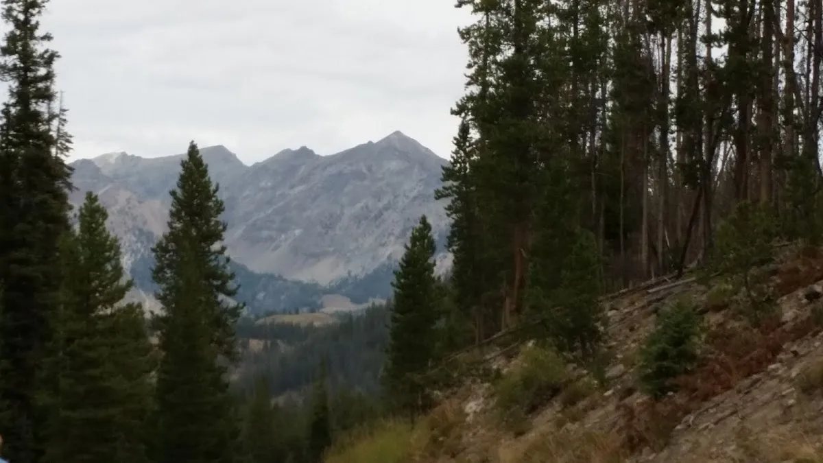 East Fork Baker Creek Campground