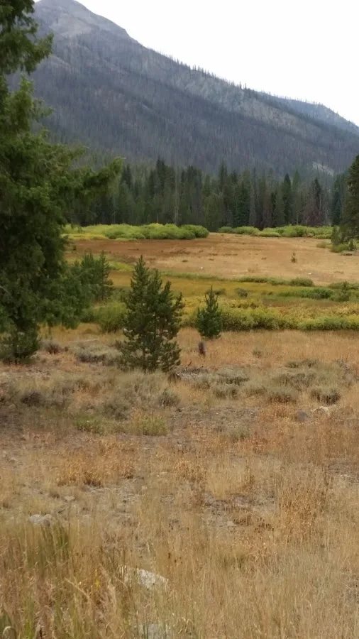 East Fork Baker Creek Campground