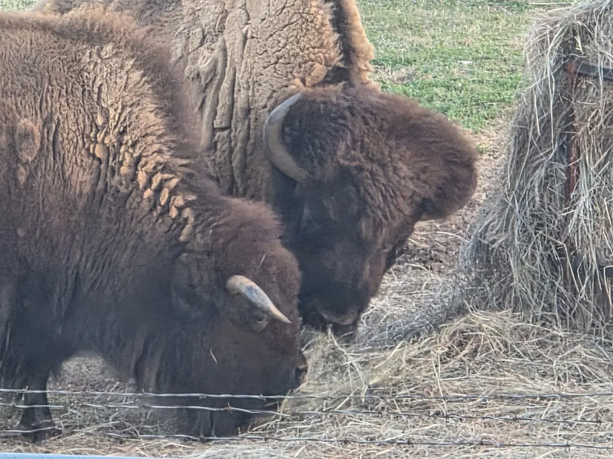 El Reno West KOA Journey