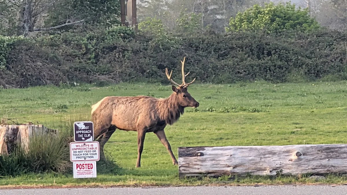 Elk Country RV Resort & Campground