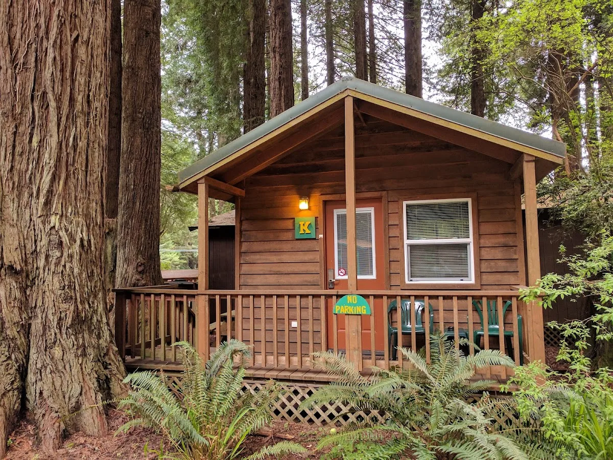 Emerald Forest Cabins & RV