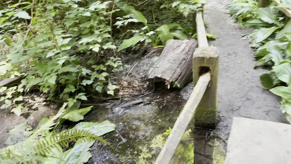 Emerald Forest Cabins & RV