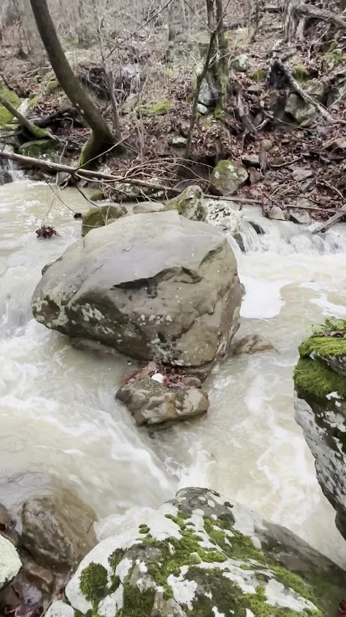 Enchanted Ozark Camp and Cabins
