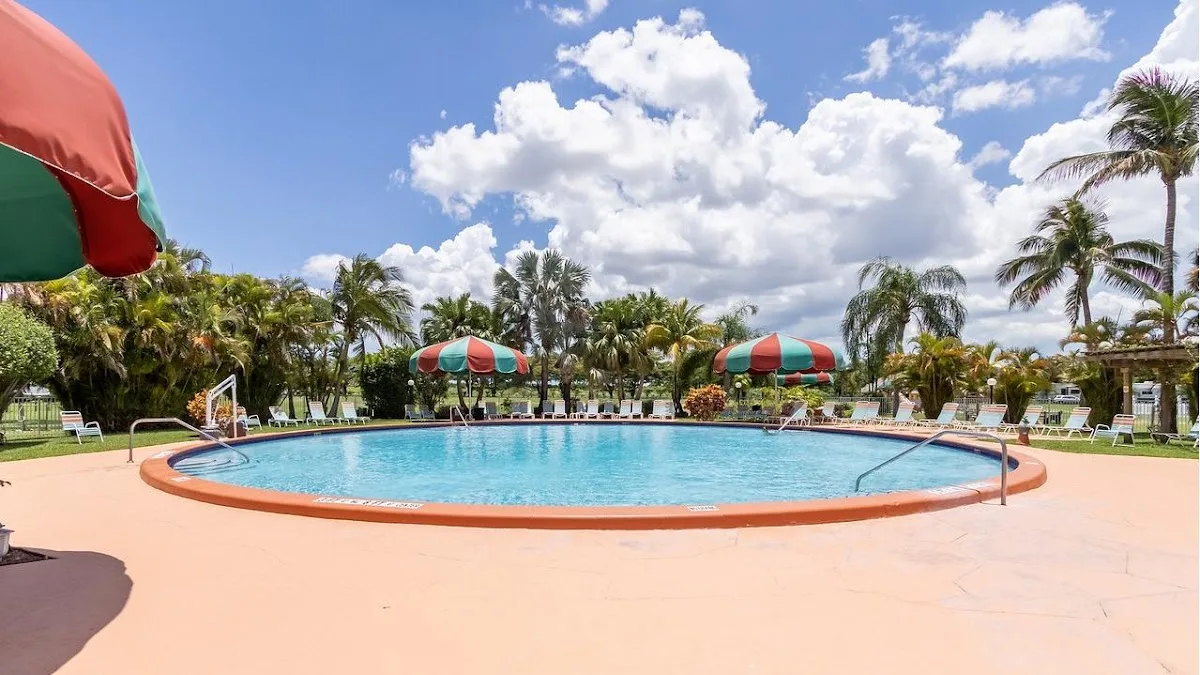 Encore Miami Everglades