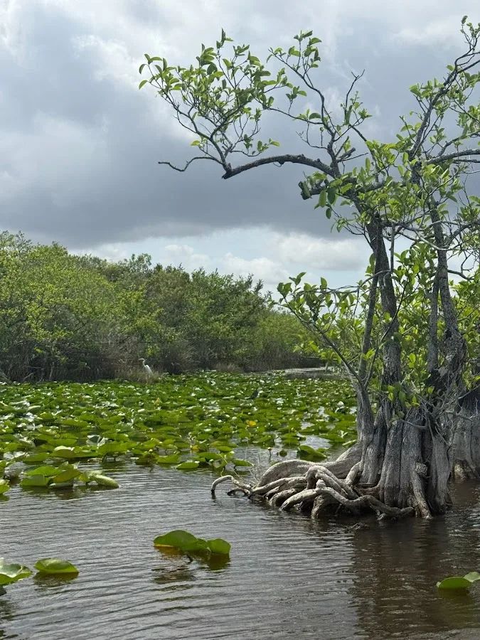 Everglades Safari Park