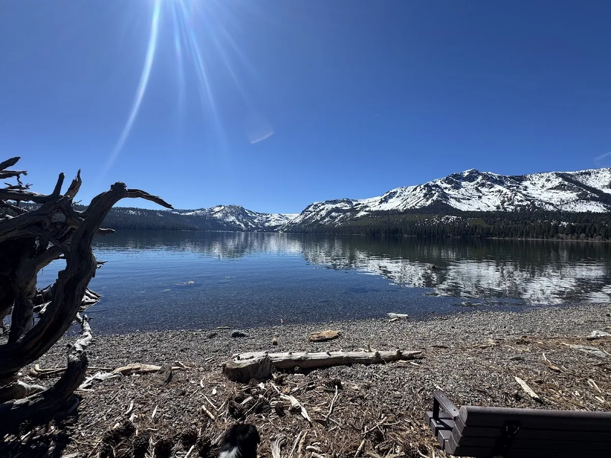 Fallen Leaf Campground