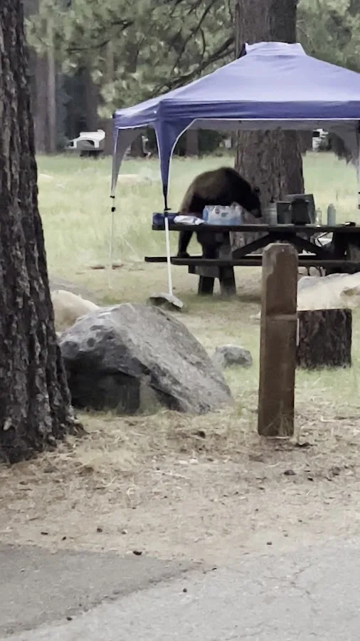 Fallen Leaf Campground