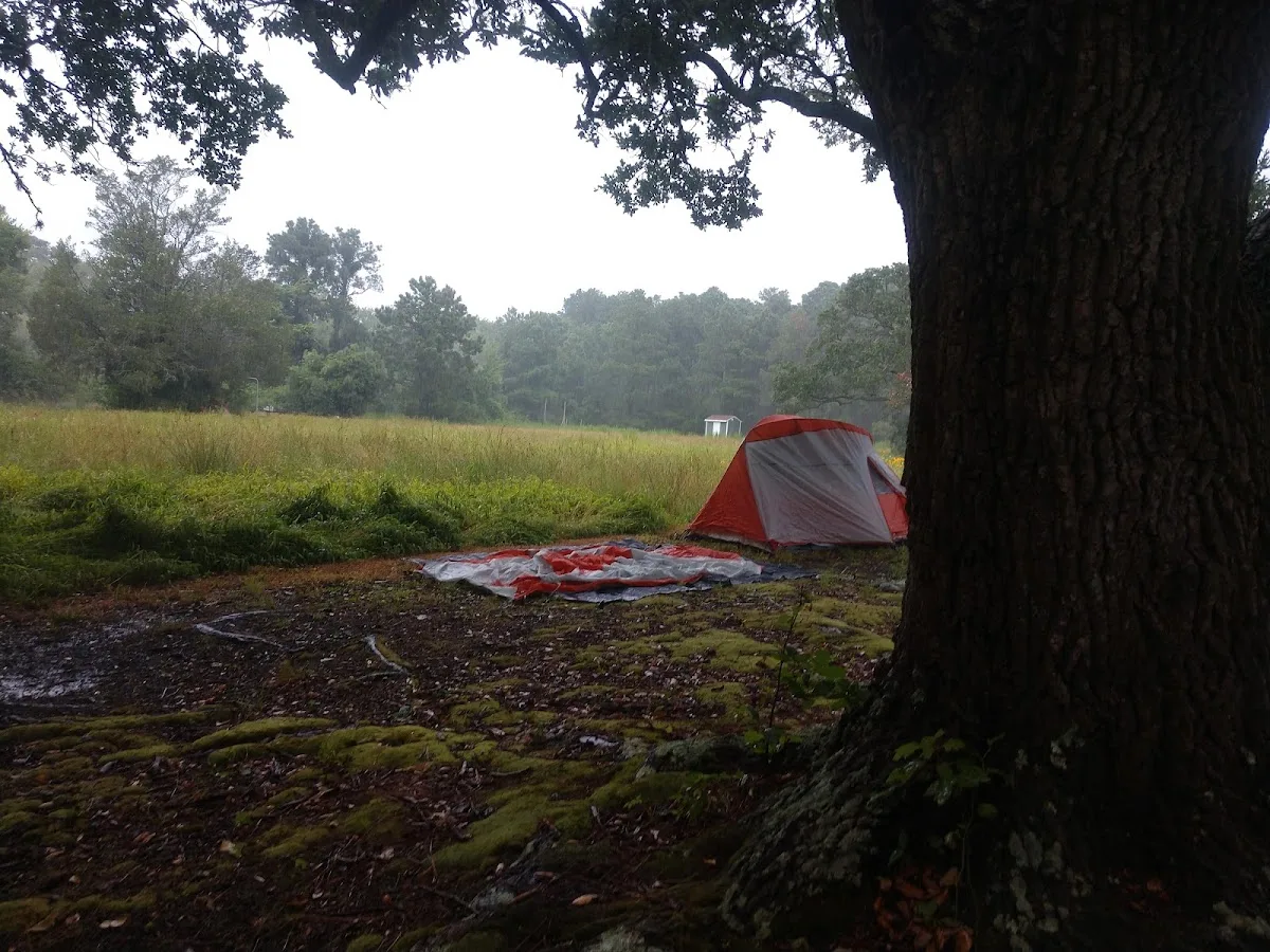 False Cape - Bay sites 10-12