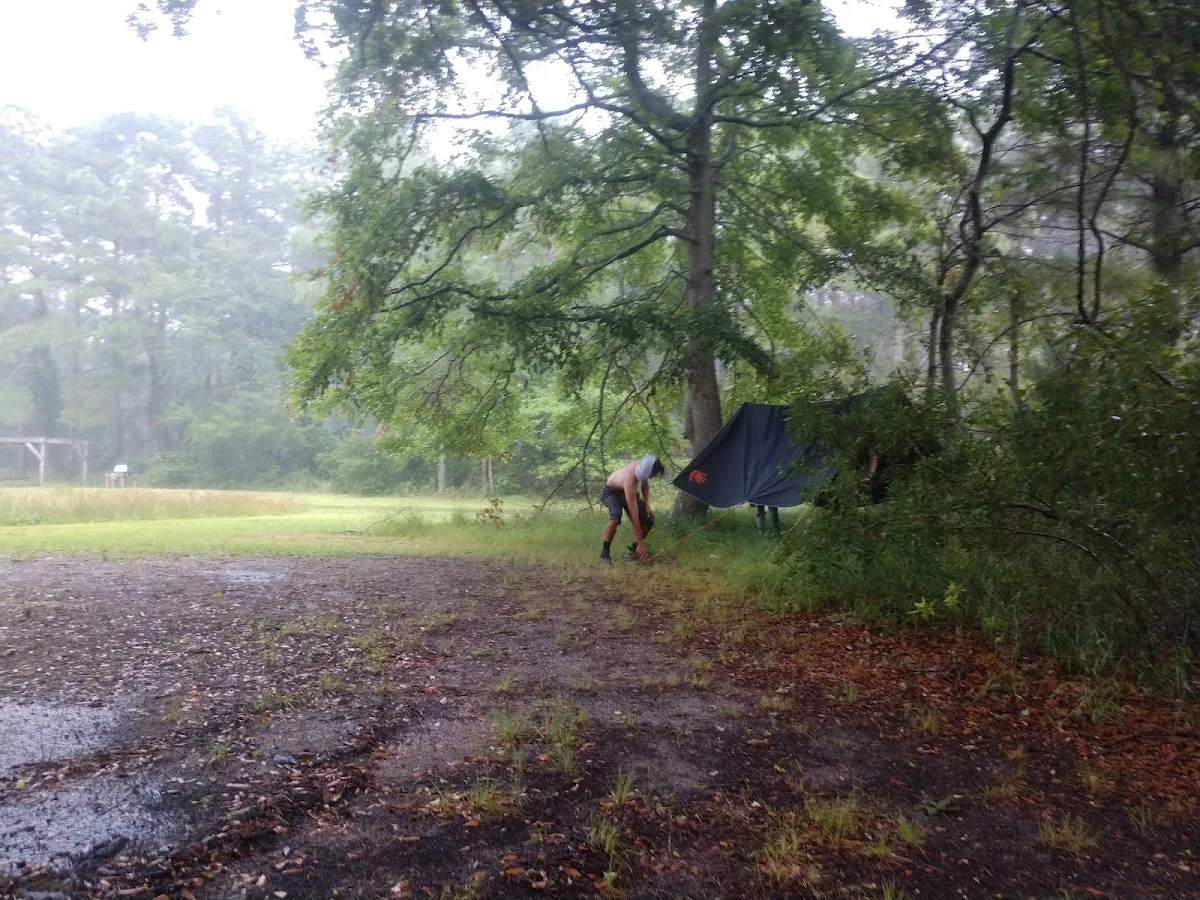 False Cape - Bay sites 10-12